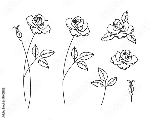 Rose June Birth Month Flower Bundle