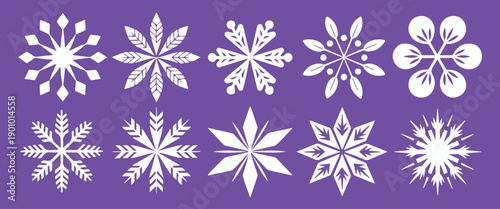  snowflake geometric winter icon set white snowflake vectors