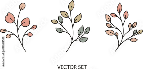 Set of three delicate botanical illustrations with soft pastel leaves and thin stems