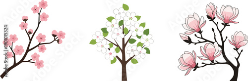 Collection of stylized spring trees with delicate pink and white blossoms on white background