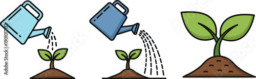 Stages of plant growth from seedling to established sprout with watering can illustration