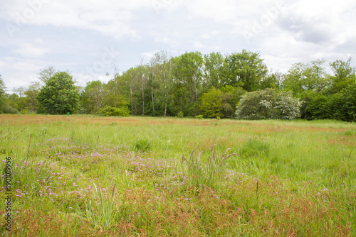 Wallpaper Mural German countryside landscape, Lower Rhine Region, Germany Torontodigital.ca