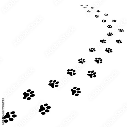 Animal paw prints graphic icon. Traces dog or cat isolated on white background. Footprints animal. Vector illustration