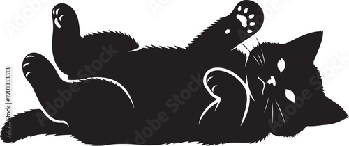 A black cat lies on its back in a playful pose