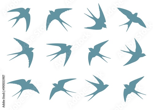 Swallow, martlet. Love letter birds with bows. Barn swallow flying, wings spread. Hirundo rustica on white background. Wildlife. Tattoo design set, wild animals, free