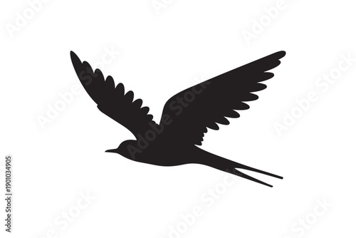 Black silhouette of a swift bird in flight with outstretched wings and a long pointed tail isolated on a white background