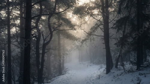 Tableau sur toile Dramatic Misty Snow Forest Path with Moody Shadows