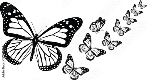 Butterflies in motion transformation pattern, black and white vector illustration, metamorphosis growth concept, symbolic design art representing change, evolution, and passage of time