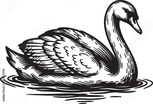 An elegant swan glides serenely on calm water, creating ripples, beautifully rendered in a classic black and white engraving style, embodying tranquility.
