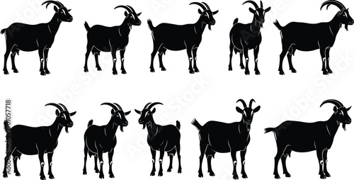 Black and White Vector Silhouette Set of Ten Goats Standing for Livestock Farming Dairy Production Rural Agriculture Safari Animal Theme and Nature Branding Projects