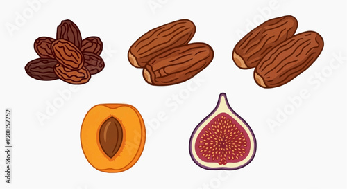 Assorted fruits and nuts, including almonds, peach, and fig, displayed together in a simple flat illustration