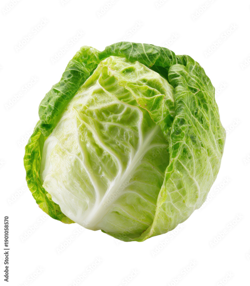 Fototapeta premium A whole green cabbage sits on a plain background. This vegetable can be used in salads, soups, or stir-fry dishes. Cabbage is a common ingredient in kitchens around the world.