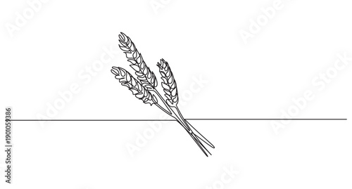 Simple Wheat Sheaf Line Art,Line Art Wheat Stalks,Line Art Illustration of Two Wheat Stalks,Hand-drawn Wheat Sheaf with Ribbon