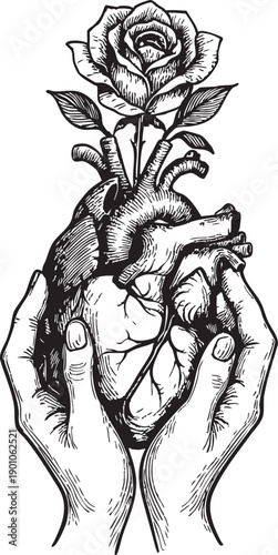 Tender Embrace of Life: An artistic illustration captures the essence of life and love, with delicate hands cradling a human heart, from which a graceful rose blossoms.