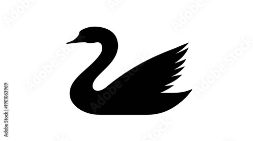 Elegant black swan silhouette on white background for design elements