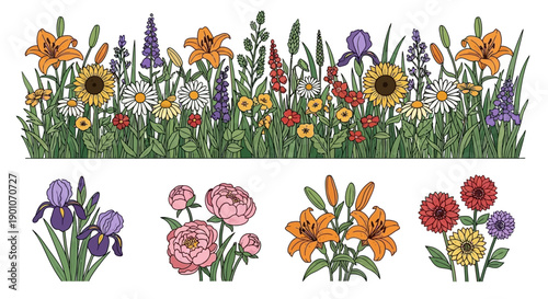 A vibrant illustration of a diverse garden border filled with various blooming flowers and lush green grass, with separate floral arrangements below.