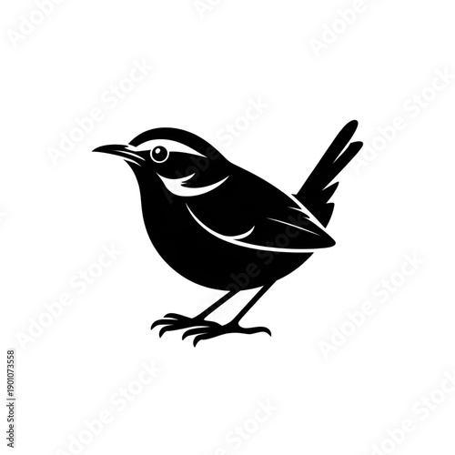vector illustration of a bird