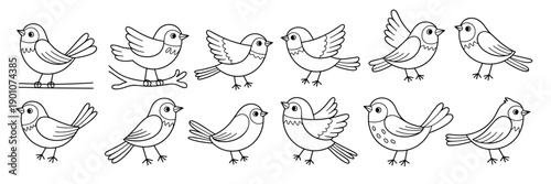  collection of twelve hand drawn outline birds in various