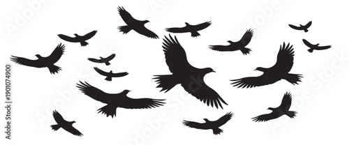 flying birds silhouettes on white background pro design