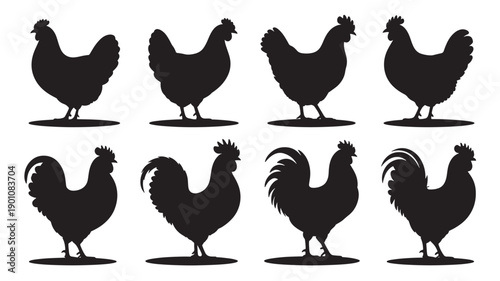 Black silhouettes of roosters and hens in various poses on white background for farm or agriculture branding
