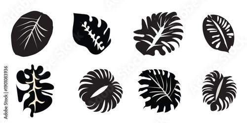 leaf silhouettes vector