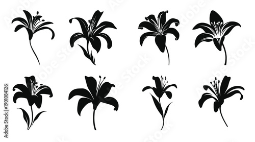  lily flower silhouette vector set lily flowers clipart bundle