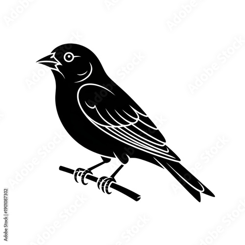 vector illustration of a bird