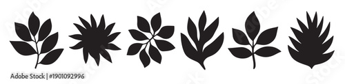  various leaf and botanical silhouettes for natural design 