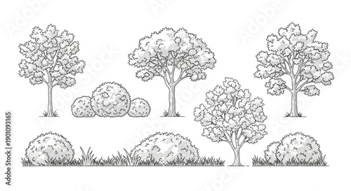 A collection of hand-drawn illustrations of various trees and bushes, presented in a black and white sketch style.