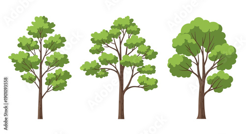 Three stylized green trees with brown trunks and branches, set against a white background.