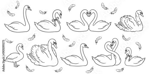 Collection of elegant hand-drawn swan illustrations in various poses with scattered feathers, perfect for design elements