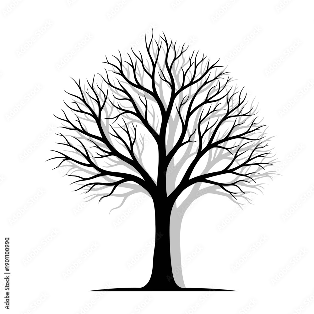 Obraz premium Bare Tree Silhouette with Shadow on White Background