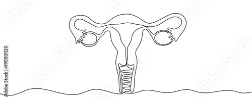 Female reproductive system in one line art style. Uterus drawing with editable black stroke on white background. Vector illustration.