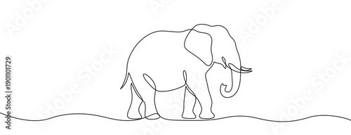 Elephant in line art style. Minimalist drawing of a large animal with tusks, made in a continuous line. Vector illustration.