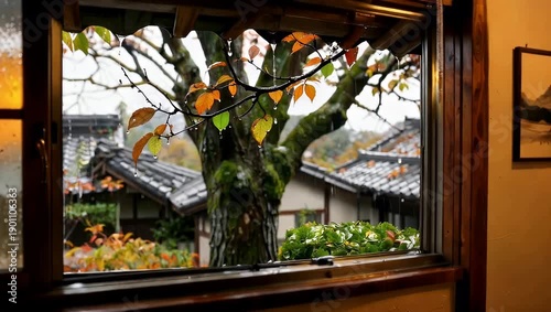 Rainy Autumn Day through a Traditional Window Serene Japanese Courtyard Views with Colorful Foliage and Wet Leaves