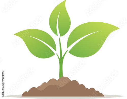 Small sprout rising from dark soil illustrating hope natural development and organic cultivation representing sustainability agriculture