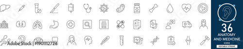 Anatomy and Medicine Icons Set. Includes Brain, Heart, Lungs, Skeleton, Stomach and Organ Symbols. 36 Professional Line Icons with Editable Stroke. Perfect for Medical Education Projects