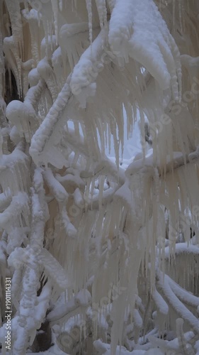 Winter ice covers trees in a frozen landscape in cold weather