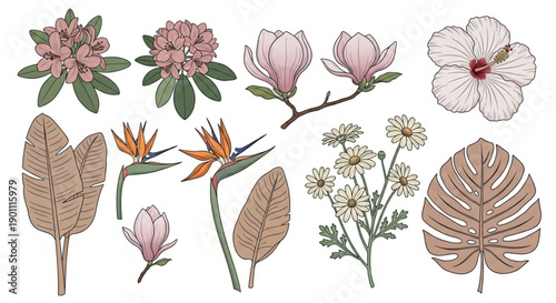 tropical and garden flowers, including magnolias, hibiscus, bird of paradise, and lush botanical leaves