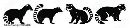  coati animal vector silhouettes set coati black silhouette