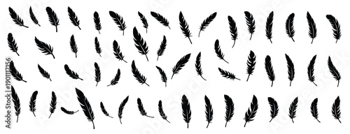 Collection of black feather silhouettes on white background 1