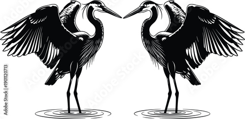 Two majestic blue heron birds in mirror reflection silhouette vector illustration with open wings standing in water ripples isolated on white for nature logo (24 words)