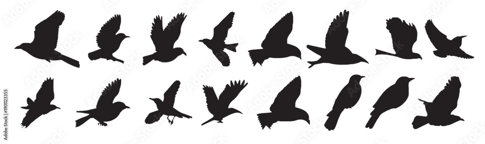 Obraz premium bird silhouettes vector
