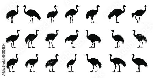  emu silhouette clipart bundle 