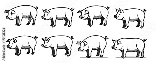 illustration of nine black and white pig sketches in various