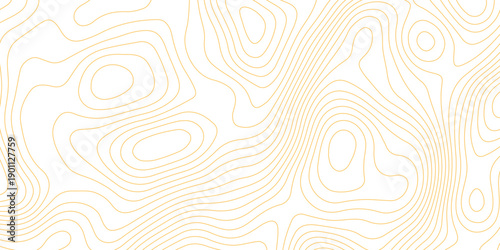 Topographic map background with geographic grid for hiking and mountain sport. luxury topographic wavy pattern and geographic grid map design. paper texture Imitation of a geographical map shades.