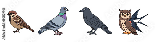 Sparrow, pigeon, crow, owl, and swallow illustrated together in a charming and simple cartoon style, a colorful collection of various common and wild bird species