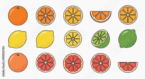 Collection of citrus fruits and slices displayed in a grid pattern