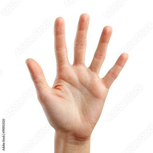 Open hand with five fingers on transparent backdrop