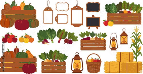 Autumn harvest vegetables wooden crates boxes signs farm market fresh produce watercolor illustration seasonal food kitchen garden decoration